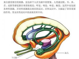 啪啪嗯哈影片抽插痉挛-请问啪啪嗯哈影片抽插痉挛是什么意思？