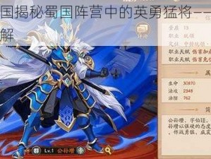 放开那三国揭秘蜀国阵营中的英勇猛将——赵云的全面作用详解