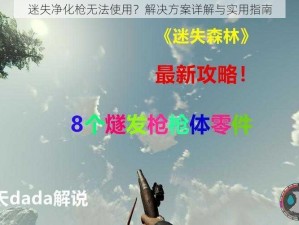 迷失净化枪无法使用？解决方案详解与实用指南