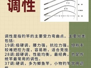 钓鱼发烧友必备知识：鱼线数值差异解析与选择指南