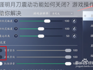 天涯明月刀震动功能如何关闭？游戏操作指南助你解决