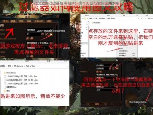 流放之路过滤器使用指南：操作方法与实际应用解析