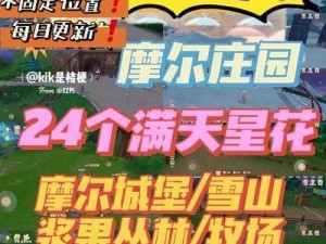 摩尔庄园手游：满天星花收集攻略大解析：如何高效采集鲜花秘诀分享