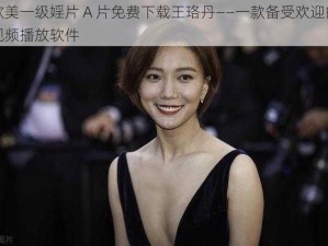 欧美一级婬片 A 片免费下载王珞丹——一款备受欢迎的视频播放软件