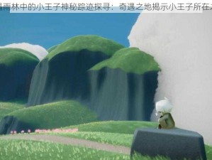 光遇雨林中的小王子神秘踪迹探寻：奇遇之地揭示小王子所在之处