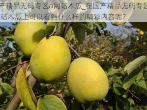 国产精品无码专区a网站木瓜_在国产精品无码专区 a 网站木瓜上可以看到什么样的精彩内容呢？