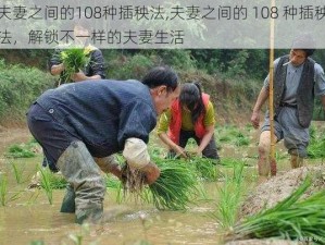 夫妻之间的108种插秧法,夫妻之间的 108 种插秧法，解锁不一样的夫妻生活