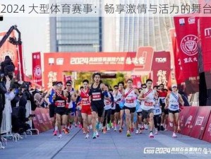 2024 大型体育赛事：畅享激情与活力的舞台