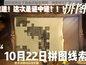 哈利波特肚子扁扁的秘密揭晓：拼图碎片位置大揭秘