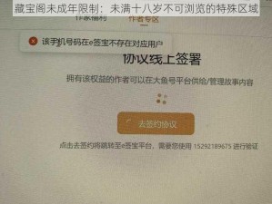 藏宝阁未成年限制：未满十八岁不可浏览的特殊区域