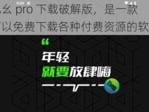 九幺 pro 下载破解版，是一款可以免费下载各种付费资源的软件