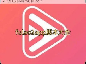 fulao2粉色标路线检测,如何进行 fulao2 粉色标路线检测？