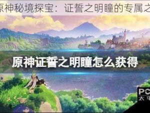 《原神秘境探宝：证誓之明瞳的专属之选》