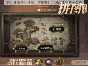 哈利波特魔法觉醒：宝贝照片拼图收集攻略全解析