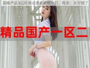 国精产品 8220 网站更新被砍一刀，网友：太可惜了