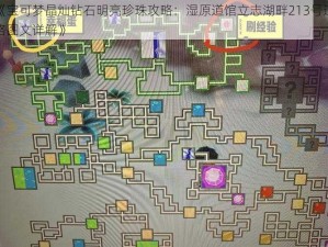 《宝可梦晶灿钻石明亮珍珠攻略：湿原道馆立志湖畔213号道路图文详解》