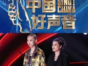 中国好声音嗨爆时刻揭秘：抖音热门视频揭秘好嗨哦视频出处探寻