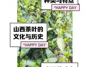 剑网3指尖江湖茶叶获取攻略：全方位茶叶采集地点详解与获得途径概览