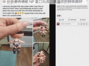 公交虐肉调教 NP 重口玩具，满足你的特殊癖好