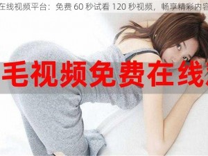 在线视频平台：免费 60 秒试看 120 秒视频，畅享精彩内容