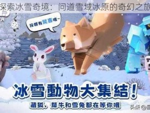 探索冰雪奇境：问道雪域冰原的奇幻之旅