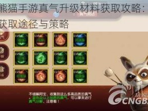 功夫熊猫手游真气升级材料获取攻略：详解材料获取途径与策略