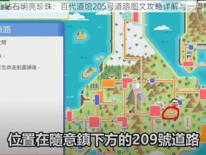 宝可梦晶灿钻石明亮珍珠：百代道馆205号道路图文攻略详解与一周目通关指南