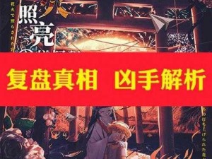 犯罪大师鹊巢案揭秘：真相揭晓与凶手揭秘的报告公布