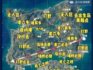 关于和平精英海岛如何精准报点的探讨与策略分享