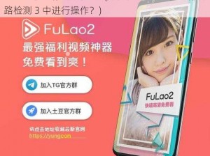 fulao2粉色标线路检测3(如何在 fulao2 粉色标线路检测 3 中进行操作？)