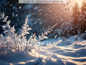 极地暴风雪：震撼降临的自然力量探索之旅