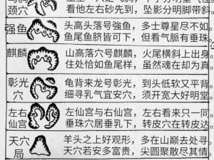 龙腾传世藏宝图揭秘：挖宝技巧大公开，探寻宝藏之门的方法指南