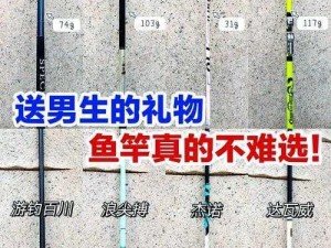 冰原守卫者鱼竿制作指南：详细解析冰原垂钓神器制作方法