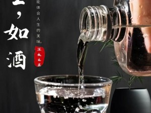 酒韵人生：沉醉中的瞬间，透视满身酒味的深邃内涵