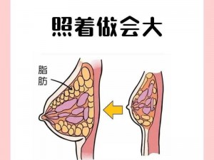 如何快速促进胸部发育的科学方法与实用建议