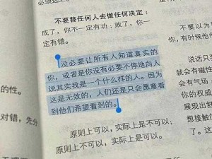 文字的力量：揭秘过桥攻略，掌握通关技巧全解析