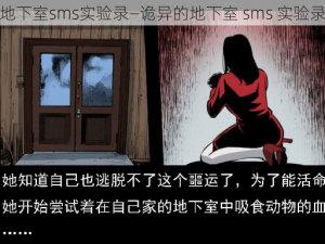 地下室sms实验录—诡异的地下室 sms 实验录