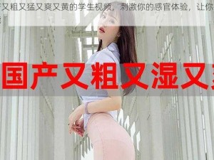 国产又粗又猛又爽又黄的学生视频，刺激你的感官体验，让你欲罢不能