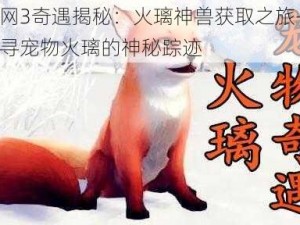 剑网3奇遇揭秘：火璃神兽获取之旅——探寻宠物火璃的神秘踪迹