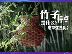 一起来探索妖灵奥秘：一次次唤醒小竹子的神奇力量