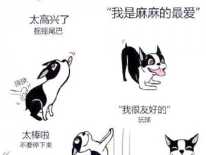 人or猪or狗已彻底下架老用户—人 or 猪 or 狗已彻底下架老用户，社交软件再无此类用户