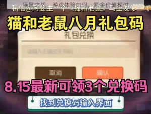 猫鼠之战：游戏体验如何，氪金价值探讨