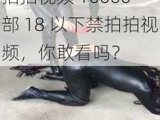 10000部18以下禁拍拍视频 10000 部 18 以下禁拍拍视频，你敢看吗？