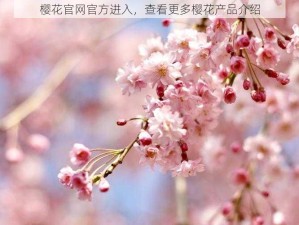 樱花官网官方进入，查看更多樱花产品介绍