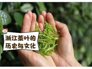 浙江新茶嫩叶wx：品茗翠绿清香，探寻生态自然与古老茶文化融合之韵味