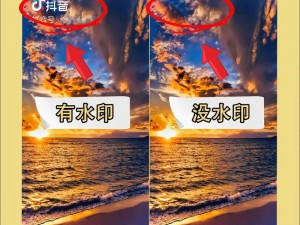 抖音火山版去水印攻略：轻松解析教程步骤揭秘如何无痕处理视频水印的方法