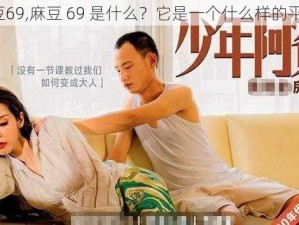 麻豆69,麻豆 69 是什么？它是一个什么样的平台？