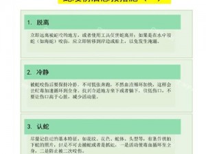 毒蛇咬伤紧急处理：掌握正确急救措施，守护生命安全之道