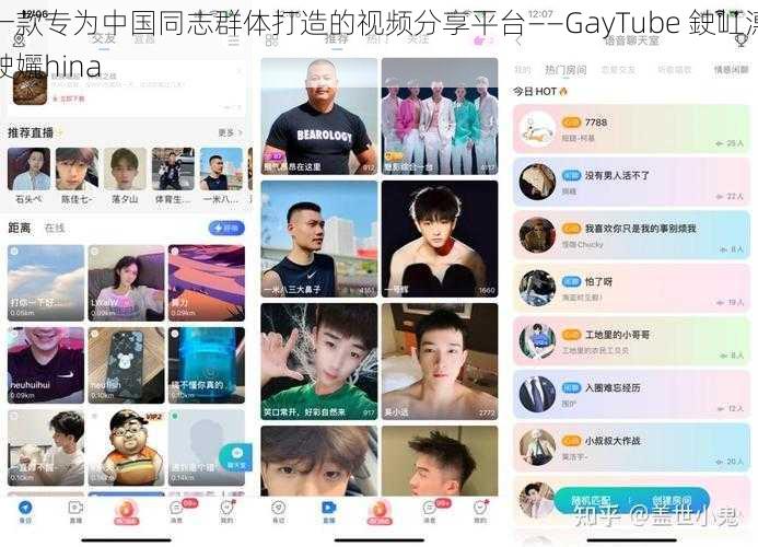 一款专为中国同志群体打造的视频分享平台——GayTube 鉂屸潓鉂孋hina