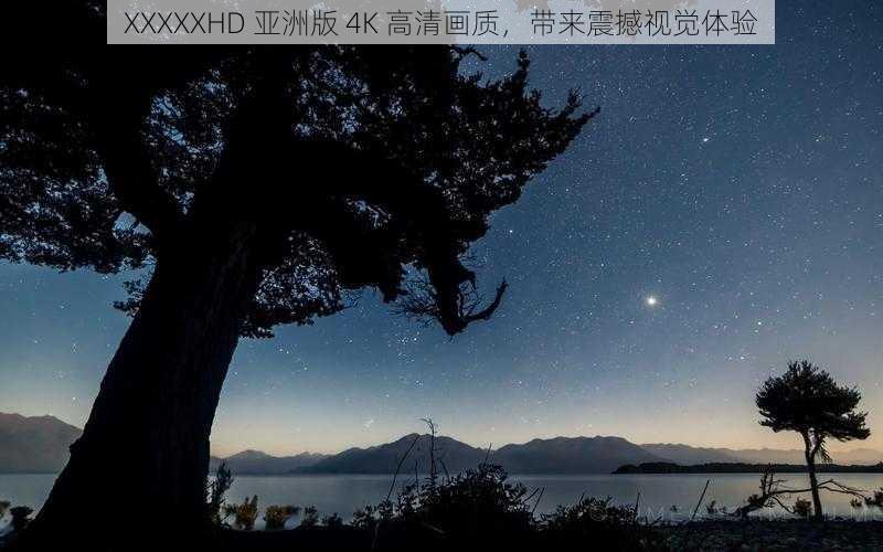 XXXXXHD 亚洲版 4K 高清画质，带来震撼视觉体验